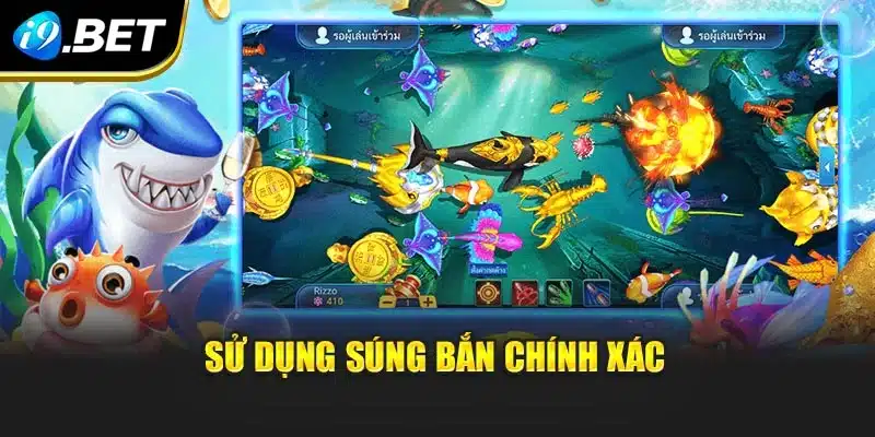 Sử dụng súng bắn chính xác